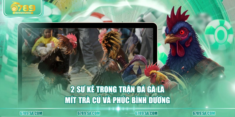 2 sư kê trong trận đá gà là Mít Trà Cú và Phúc Bình Dương