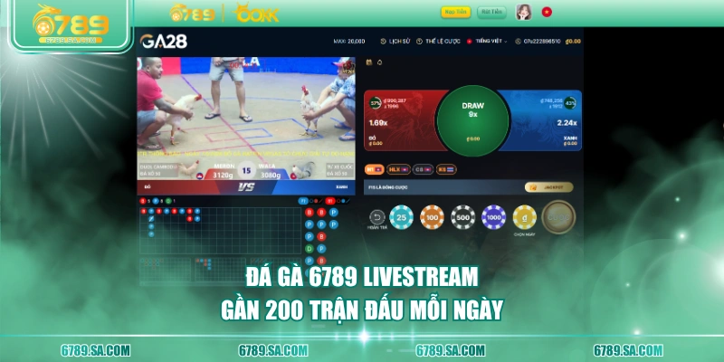 Đá Gà 6789 livestream gần 200 trận đấu mỗi ngày