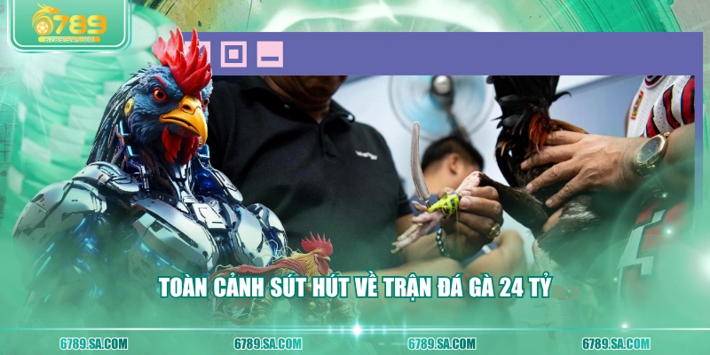 Toàn cảnh sút hút về trận đá gà 24 tỷ